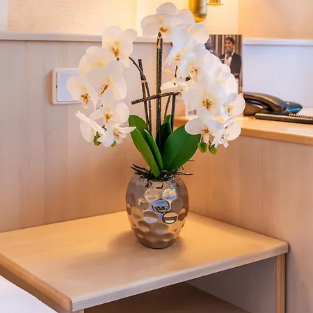 Ξενοδοχείο Plaza Κέμνιτς